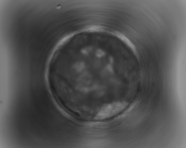 X0000094351429200711162021