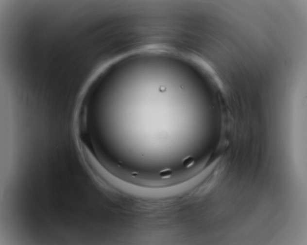 X0000094351430200711162021