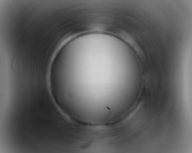 X0000094351432200711162021