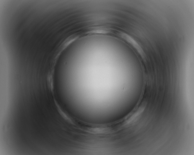 X0000094351433200711162021