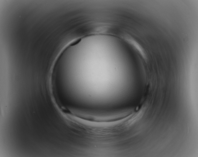 X0000094351434200711162021