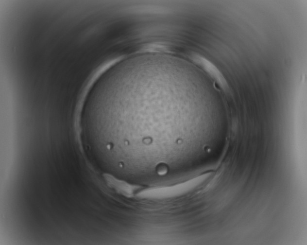 X0000094351435200711162021