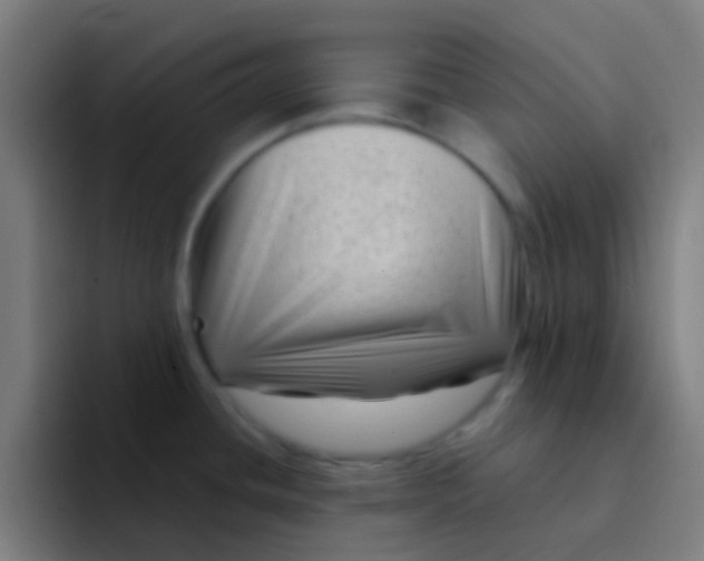 X0000094351436200711162021