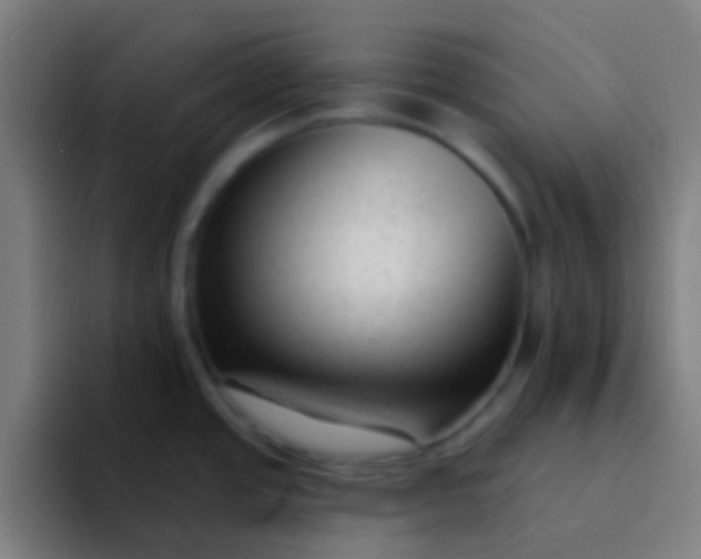 X0000094351437200711162021