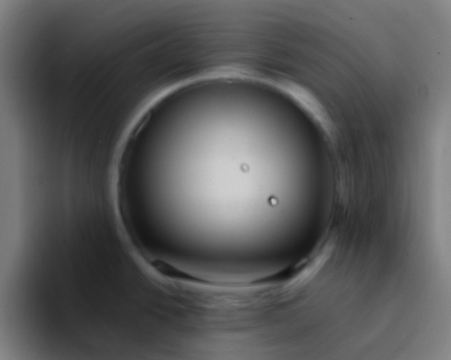 X0000094351438200711162021