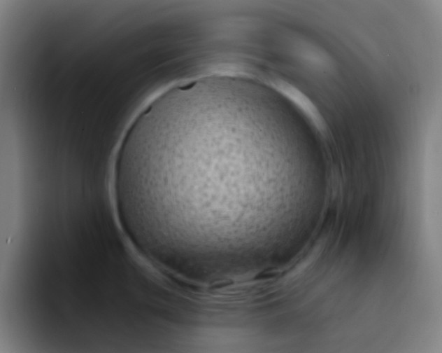 X0000094351439200711162021