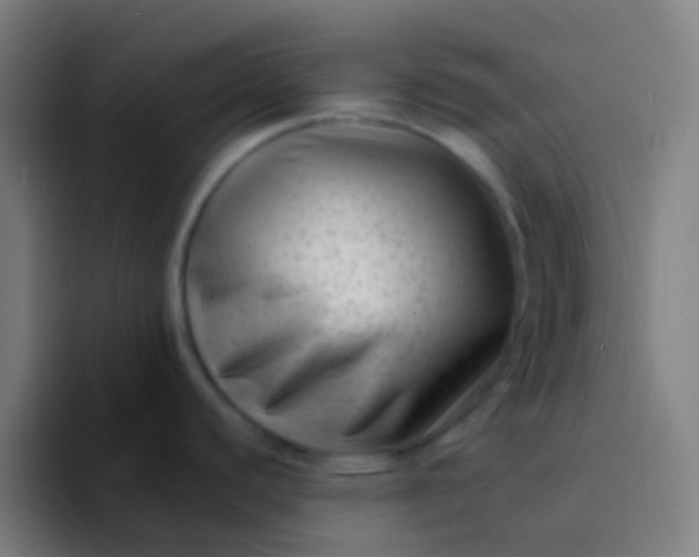 X0000094351440200711162021