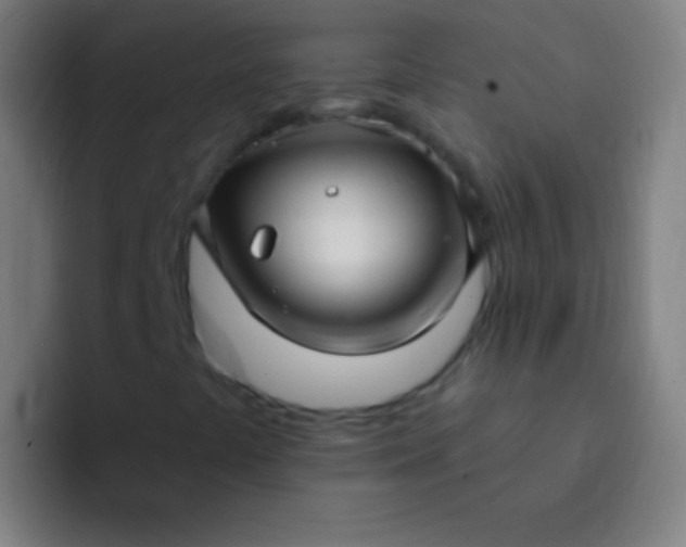 X0000094351441200711162020