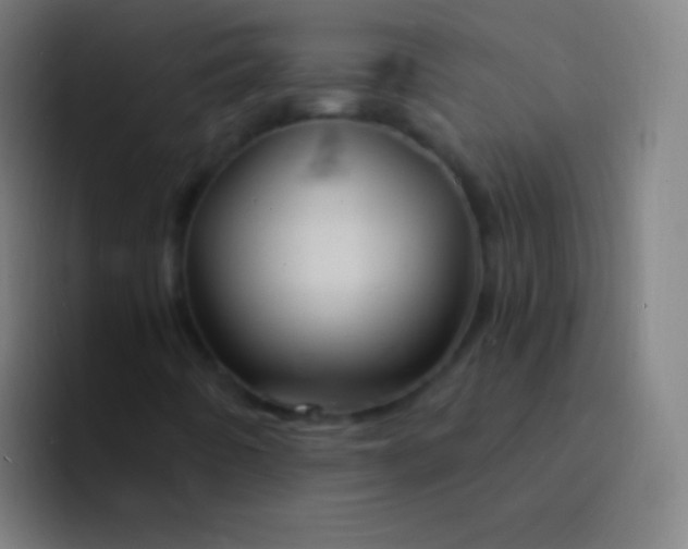 X0000094351442200711162020