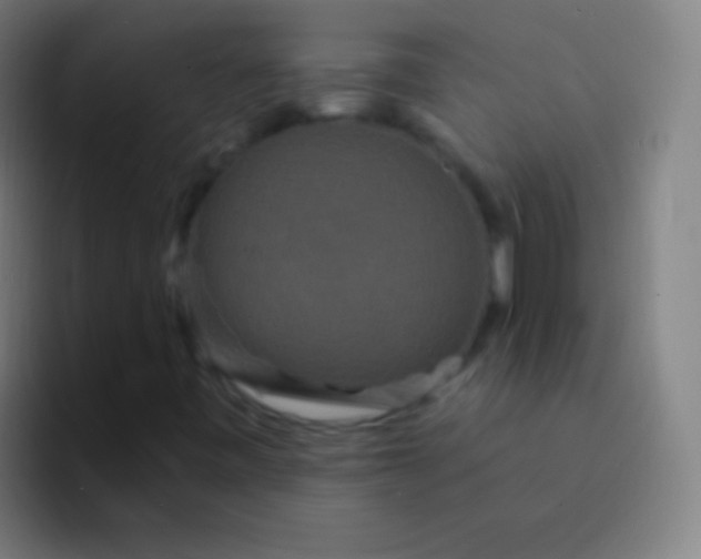 X0000094351443200711162020