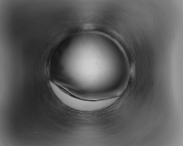 X0000094351444200711162020