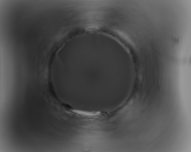 X0000094351445200711162020