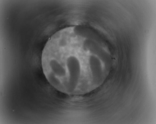 X0000094351446200711162020