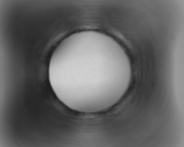 X0000094351448200711162020