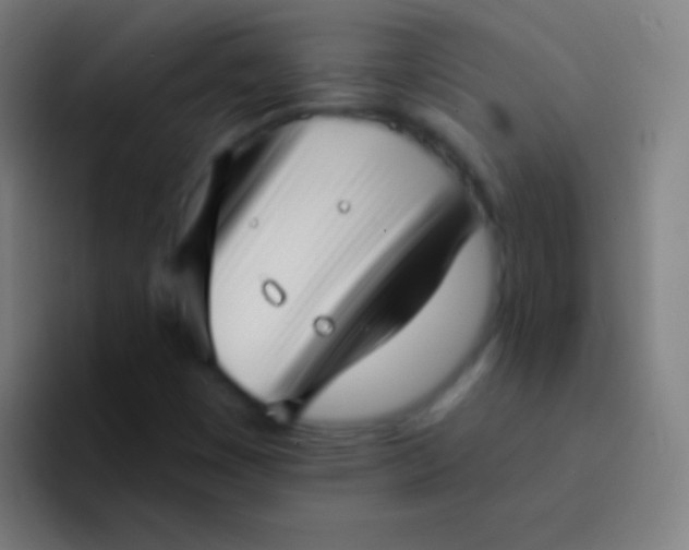 X0000094351449200711162020