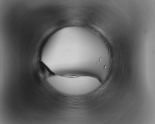 X0000094351450200711162020