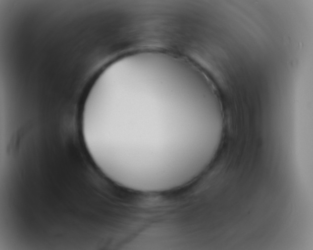 X0000094351452200711162020