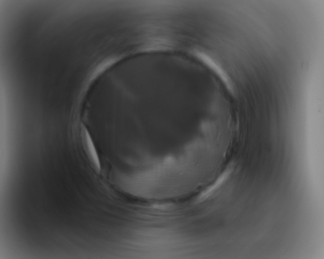 X0000094351453200711162020