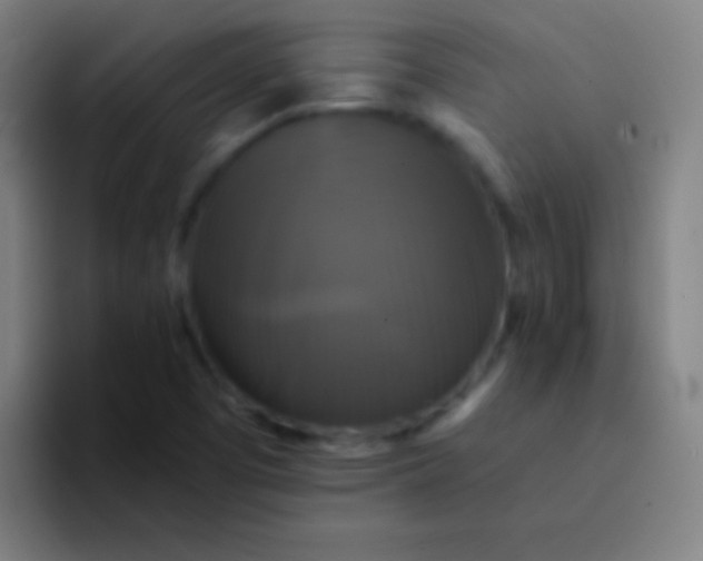 X0000094351457200711162020