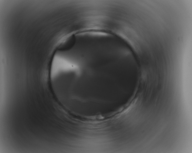 X0000094351459200711162020