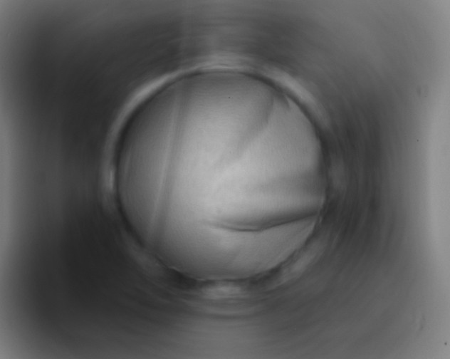 X0000094351462200711162020