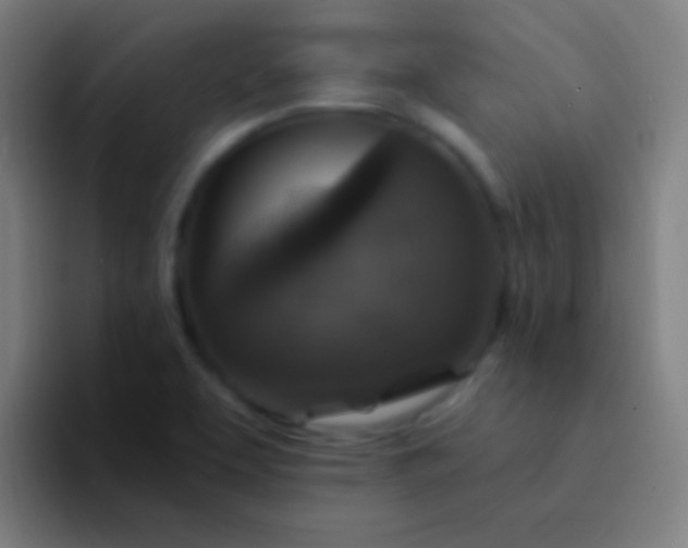 X0000094351463200711162020