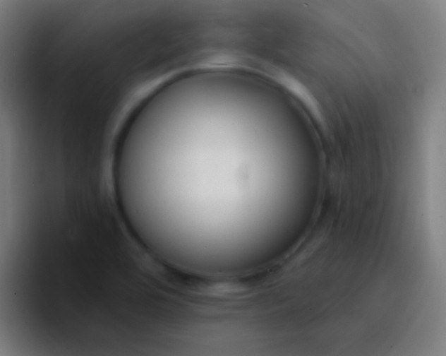 X0000094351464200711162020