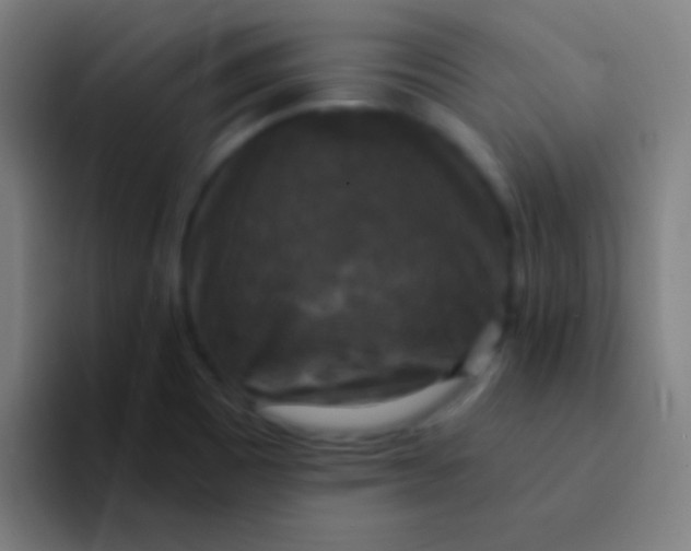 X0000094351465200711162020