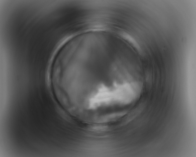 X0000094351466200711162020