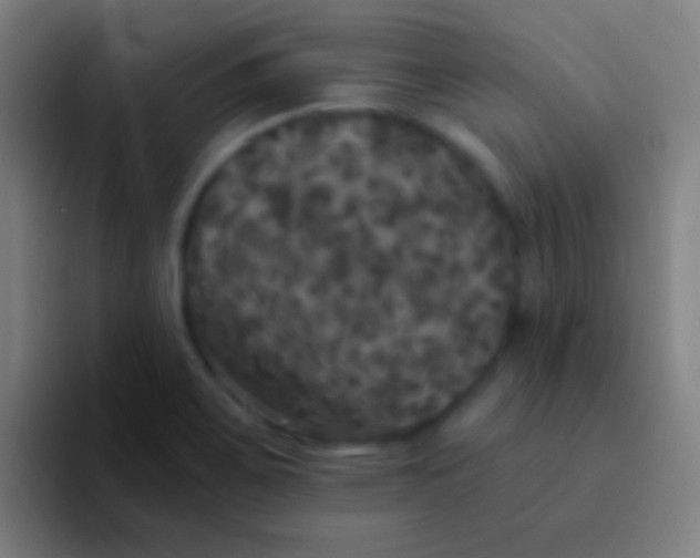 X0000094351467200711162020