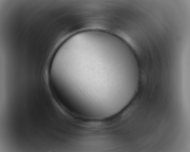 X0000094351468200711162020