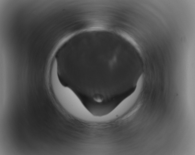 X0000094351469200711162020