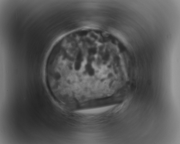 X0000094351471200711162020