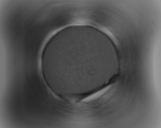 X0000094351472200711162020