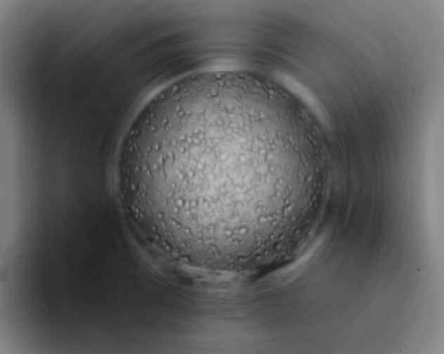 X0000094351473200711162020