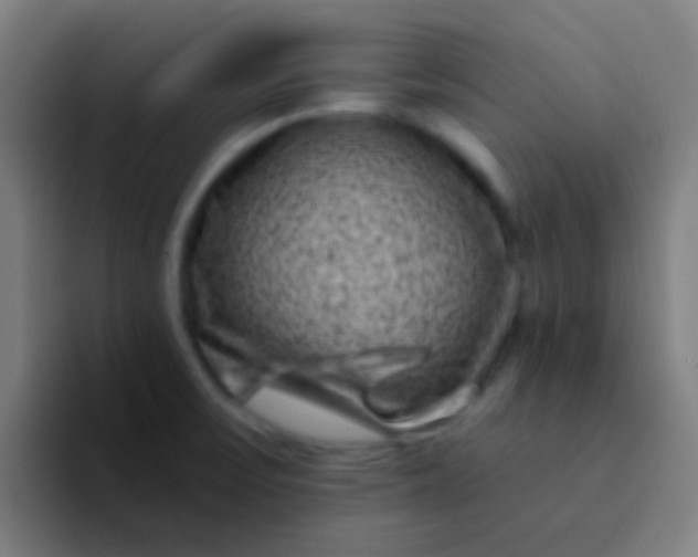 X0000094351475200711162020