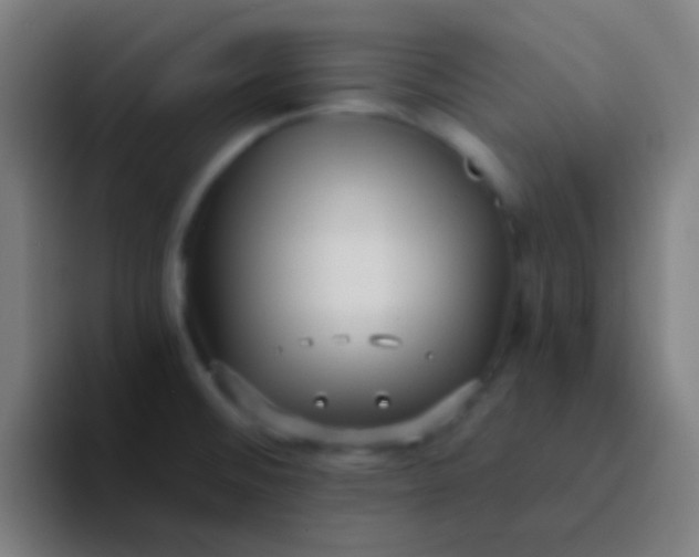 X0000094351476200711162020