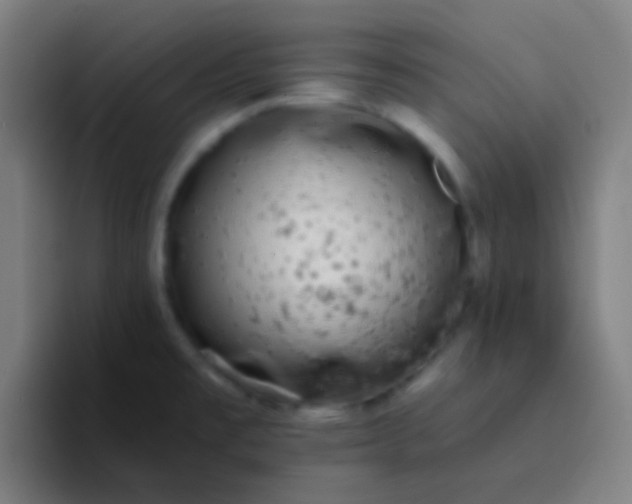 X0000094351477200711162020