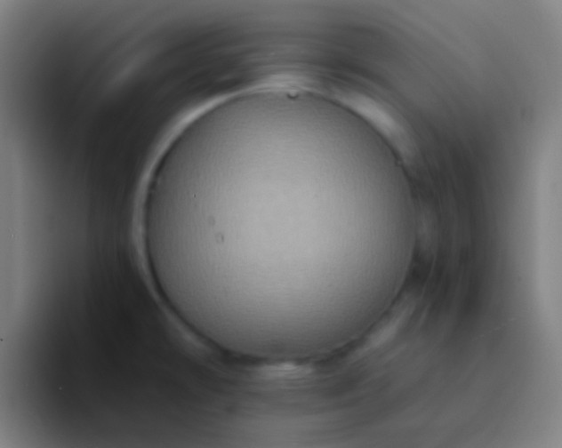 X0000094351478200711162020