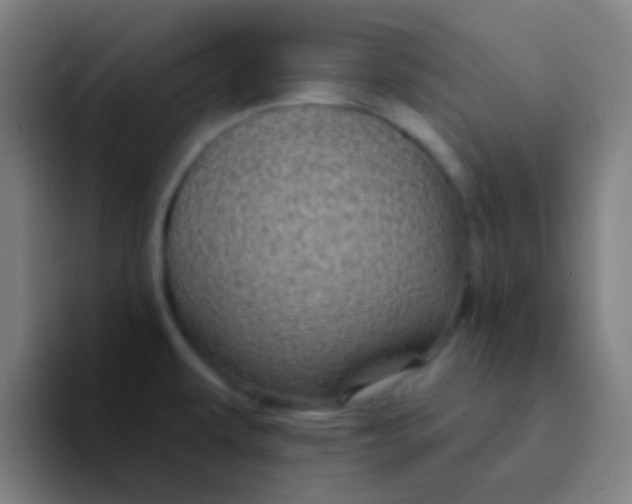 X0000094351479200711162020