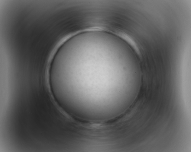 X0000094351480200711162020