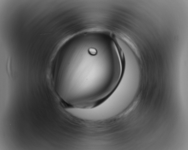 X0000094351481200711162020