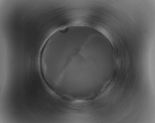 X0000094351482200711162020