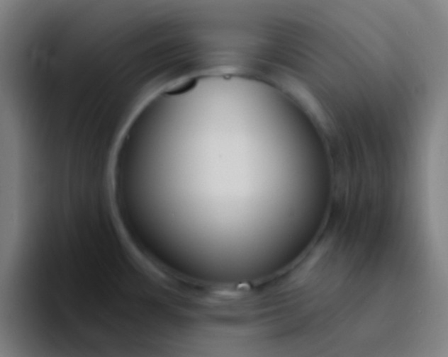 X0000094351483200711162020