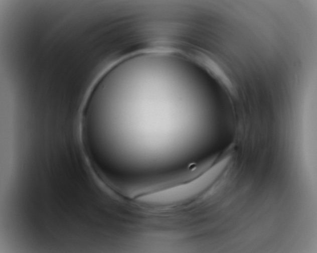 X0000094351484200711162020