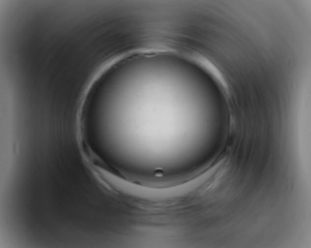 X0000094351485200711162020