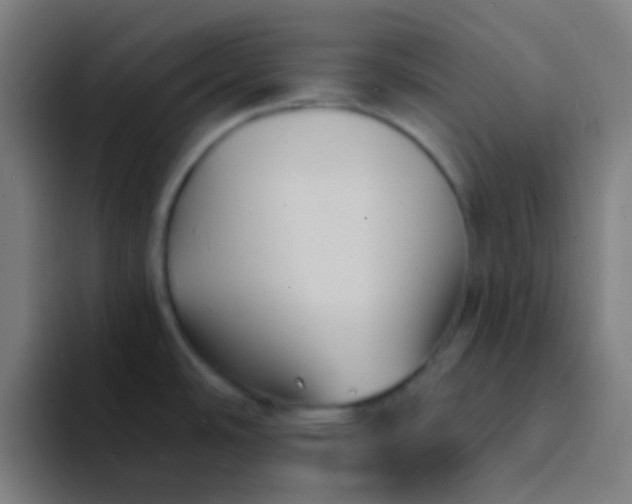 X0000094351486200711162020