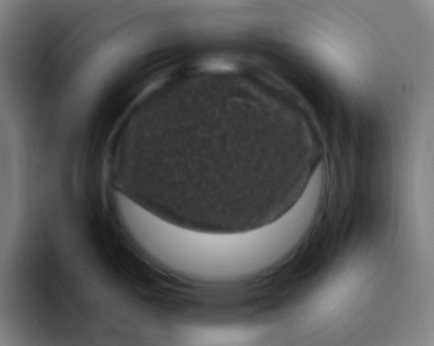 X0000094351487200711162020