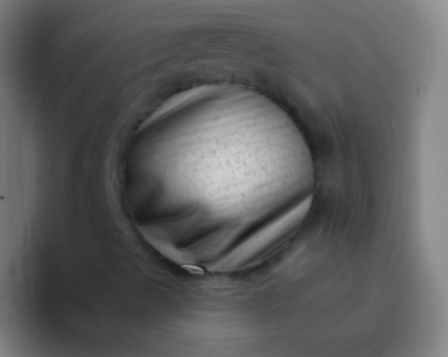 X0000094351489200711162019