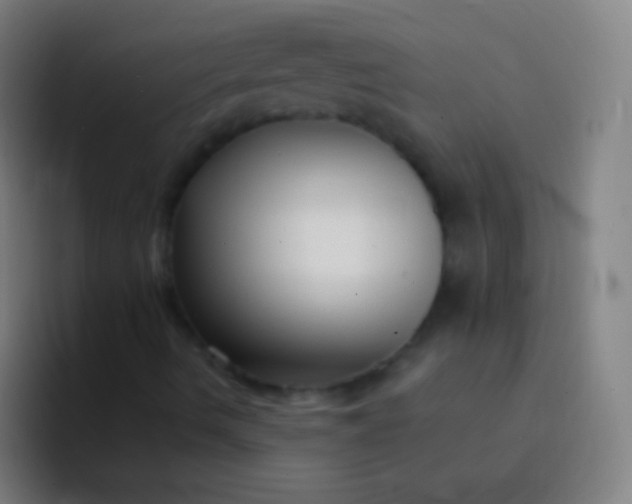 X0000094351490200711162019